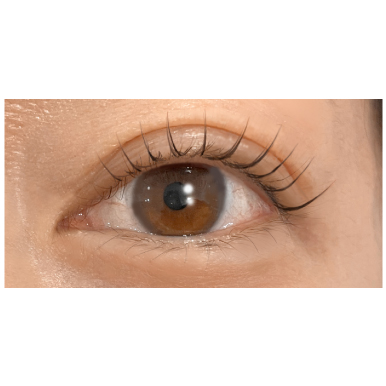 ラッシュリフトのみト 当日