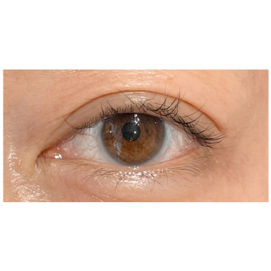 ラッシュリフトのみ 4週間後